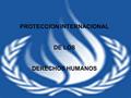PROTECCION INTERNACIONAL DE LOS DERECHOS HUMANOS