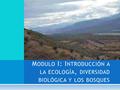 M ODULO I: I NTRODUCCIÓN A LA ECOLOGÍA, DIVERSIDAD BIOLÓGICA Y LOS BOSQUES.