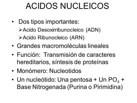 ACIDOS NUCLEICOS Dos tipos importantes:  Acido Desoxirribunocleico (ADN)  Acido Ribunocleico (ARN) Grandes macromoléculas lineales Función: Transmisión.