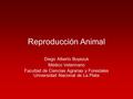 Reproducción Animal Diego Alberto Boyezuk Médico Veterinario Facultad de Ciencias Agrarias y Forestales Universidad Nacional de La Plata.