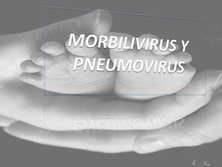 MORBILIVIRUS Y PNEUMOVIRUS