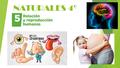 NATURALES 4º. LA FUNCIÓN DE RELACIÓN  La función de relación nos permite obtener información de nuestro entorno y de nuestro propio cuerpo. También nos.