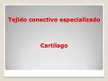 Tejido conectivo especializado Cartílago