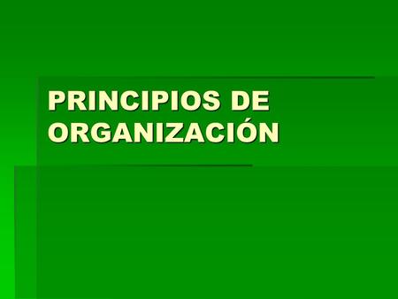 PRINCIPIOS DE ORGANIZACIÓN