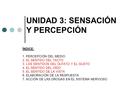 UNIDAD 3: SENSACIÓN Y PERCEPCIÓN