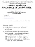 SENTIDO NUMÉRICO ALGORITMOS DE OPERACIONES Equipo de profesores del Departamento de Didáctica de la Matemática Universidad Granada Pablo Flores