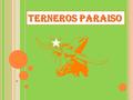TERNEROS PARAISO. EXPLOTACIÓN GANADERA VECINAL POR BOXES NO PODER JUNTAR VARIAS ESPECIES DE ANIMALES. EL CROTAL TIENE INFORMACIÓN NO TRANSFERIBLE.