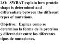 LO: SWBAT explain how protein shape is determined and differentiate between the different types of mutations. Objetivo: Explica como se determina la forma.