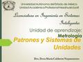 Licenciatura en Ingeniería en Sistemas Inteligentes