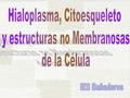 Hialoplasma, Citoesqueleto y estructuras no Membranosas