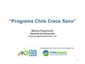 El programa Chile Crece Sano es una iniciativa de “Programa Chile Crece Sano” Marisol Figueroa B. Gerente de Alimentos 1.