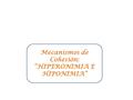 Mecanismos de Cohesión: “HIPERONIMIA E HIPONIMIA”