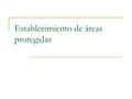 Establecimiento de áreas protegidas. Consideraciones iniciales En 1994 había 8 600 AP en el mundo que equivalen a 8 millones de km 2. Esto representa.