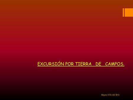 EXCURSIÓN POR TIERRA DE CAMPOS. Reyes Villa del Brío.