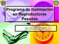 Programa de Iluminación en Reproductoras Pesadas