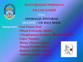 UNIVERIDAD PERUANA DE LOS ANDES TEMA: ANOMALIAS DENTARIAS