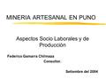 MINERIA ARTESANAL EN PUNO Aspectos Socio Laborales y de Producción Federico Gamarra Chilmaza Consultor. Setiembre del 2004.