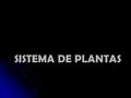 SISTEMA DE PLANTAS.