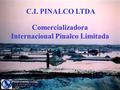 C.I. PINALCO LTDA. Comercializadora Internacional Pinalco Limitada C.I. PINALCO LTDA.