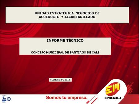 UNIDAD ESTRATÉGICA NEGOCIOS DE ACUEDUCTO Y ALCANTARILLADO INFORME TÉCNICO CONCEJO MUNICIPAL DE SANTIAGO DE CALI FEBRERO DE 2012.