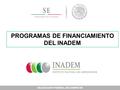 DELEGACION FEDERAL EN CAMPECHE PROGRAMAS DE FINANCIAMIENTO DEL INADEM.