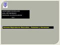 DEPARTAMENTO DE BIOLOGÍA NIVEL: SÉPTIMO BÁSICO PROFESOR: JULIO RUIZ ALARCÓN 2010 Sistema Reproductor Masculino, Femenino y Hormonas.