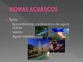 BIOMAS ACUÁTICOS Tipos: Epicontinental, continental o de aguas dulces