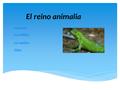 El reino animalia Los peses: Los anfibios : Los reptiles: Video.