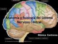 Anatomía y fisiología del Sistema Nervioso Central