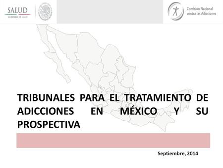 TRIBUNALES PARA EL TRATAMIENTO DE ADICCIONES EN MÉXICO Y SU PROSPECTIVA Septiembre, 2014.