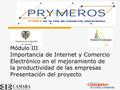 Presidencia de la República de Colombia Módulo III Importancia de Internet y Comercio Electrónico en el mejoramiento de la productividad de las empresas.