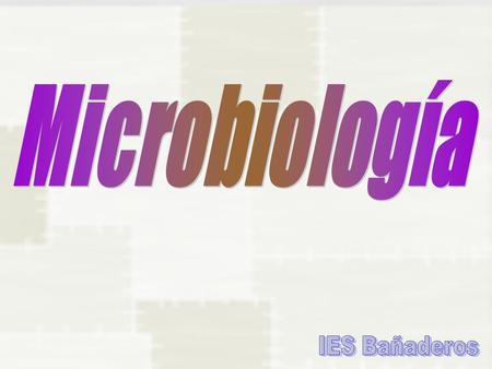 Microbiología IES Bañaderos.