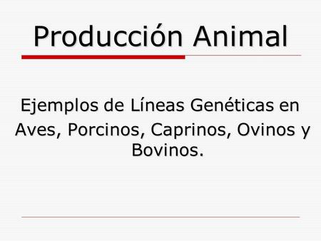 Producción Animal Ejemplos de Líneas Genéticas en