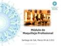 Módulo de Maquillaje Profesional Santiago de Cali, Marzo 04 de 2.013 www.academiamargota.com.