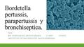 Bordetella pertussis, parapertussis y bronchiseptica.