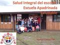 Equipo Central PIRI. Descripción La intervención en salud también se hace desde una perspectiva longitudinal que depende de las etapas o ciclos de la.