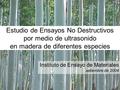 Instituto de Ensayo de Materiales setiembre de 2004