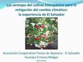Las ventajas del cultivo hidropónico para la mitigación del cambio climático: la experiencia de El Salvador Asociación Cooperativa Fresas de Apaneca -