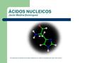 ÁCIDOS NUCLEICOS Javier Medina Domínguez Se autoriza la utilización de este material con citación expresa del autor del mismo.