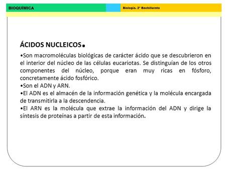 ÁCIDOS NUCLEICOS. Son macromoléculas biológicas de carácter ácido que se descubrieron en el interior del núcleo de las células eucariotas. Se distinguían.