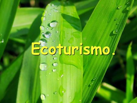 Ecoturismo.. ORIGEN. El término surge entre los años 60's y 70's. El término surge entre los años 60's y 70's. Cobra una mayor fuerza a partir de los.