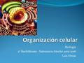 Biología 2º Bachillerato - Salesianos Atocha 2015-2016 Luis Heras.