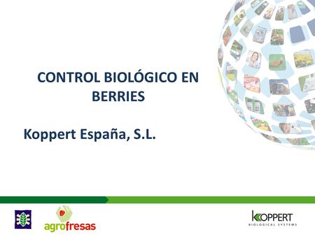 CONTROL BIOLÓGICO EN BERRIES