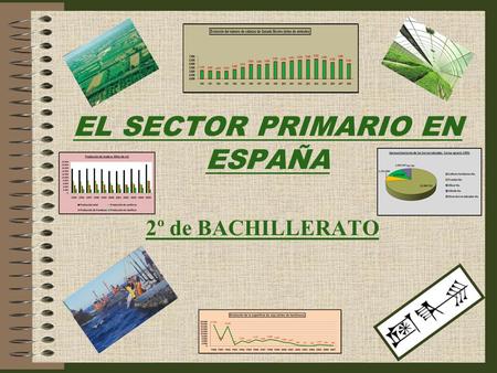 EL SECTOR PRIMARIO EN ESPAÑA