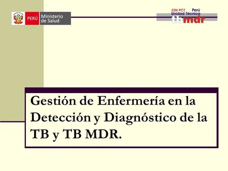 Gestión de Enfermería en la Detección y Diagnóstico de la TB y TB MDR.