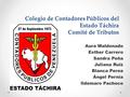 Colegio de Contadores Públicos del Estado Táchira Comité de Tributos Aura Maldonado Esther Carrero Sandra Peña Juliana Ruiz Blanca Perea Ángel Pernía Ildemaro.