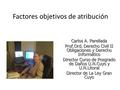 Factores objetivos de atribución Carlos A. Parellada Prof.Ord. Derecho Civil II Obligaciones y Derecho Informático Director Curso de Posgrado de Daños.