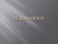 EL ZOOLOGICO.