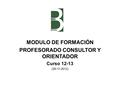 MODULO DE FORMACIÓN PROFESORADO CONSULTOR Y ORIENTADOR Curso 12-13 (20-11-2012)