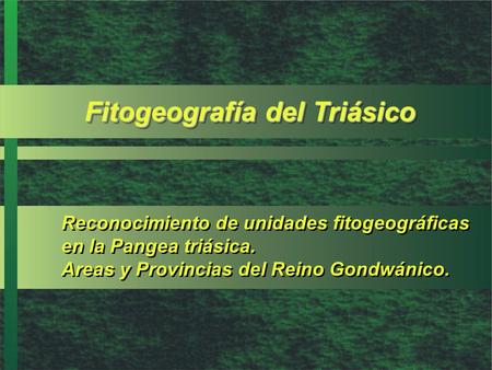 Fitogeografía del Triásico
